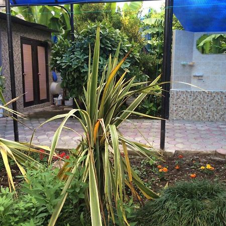 מלון גגרה Гостевой Дом У Левы מראה חיצוני תמונה